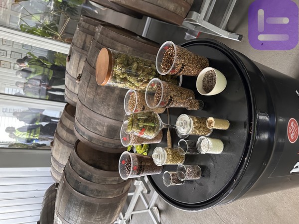 2025.05.15.mandryemo1